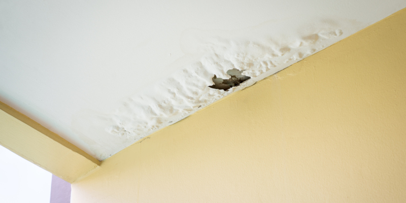 One sign that your property needs roof repair 